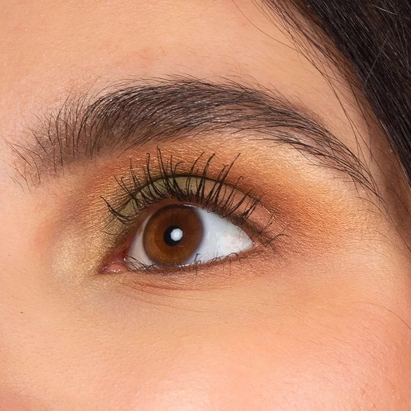 CHARLOTTE BIO - Bio Vegetal Eyeshadow Palette - Stunning Colors for Natural Beauty 🌿💄
