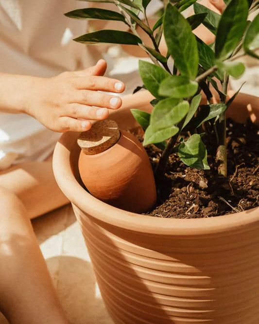 Olla Bewässerungssystem