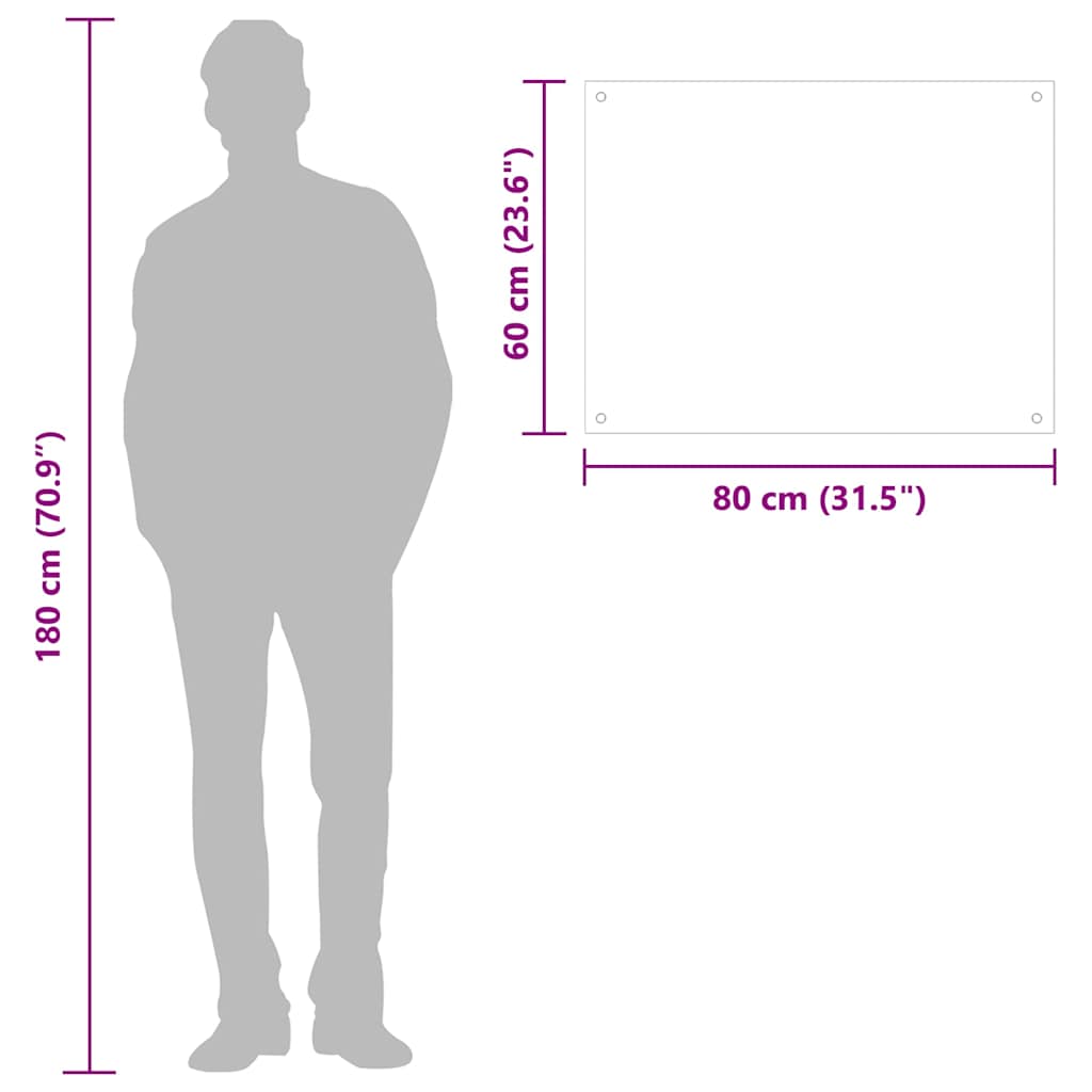 Küchenrückwände 2 Stk. Transparent 80x60 cm Hartglas