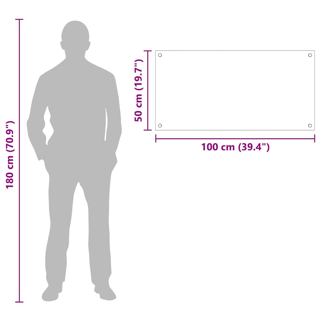 Küchenrückwand Transparent 100 x 50 cm Gehärtetes Glas