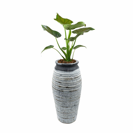 Lazaros Vase – 33 x 13 cm, zeitloses Dekorationsobjekt