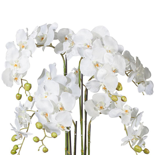 Kunstblume Orchidee – 70 cm, realistisch & pflegeleicht