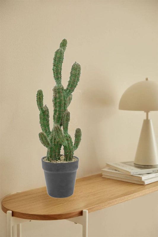 Deko-Kaktus – 15 x 55 cm, kunstvolle Nachbildung für Zuhause