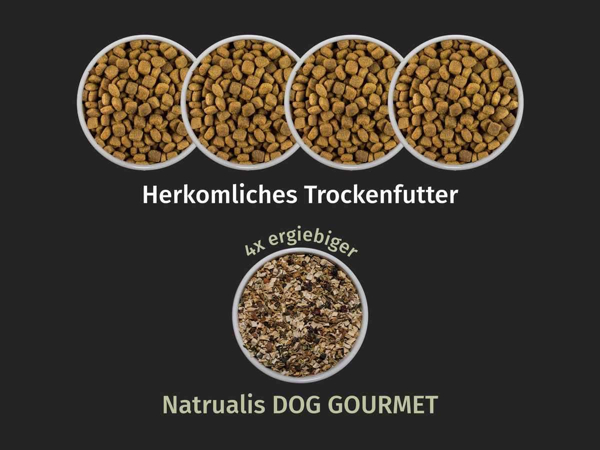 Vegetarisch mit Pastinake, Zucchini, Superfoods und Naturkräuter