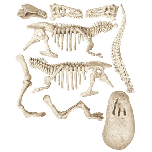 Archeogiocando T-Rex Lumino.IT