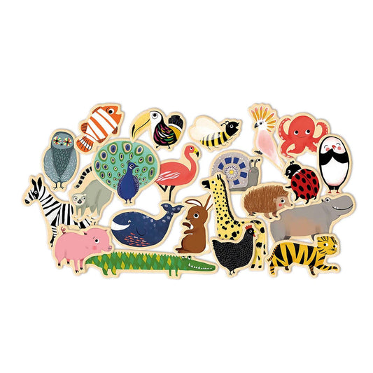 Djeco Magnete Magnimo