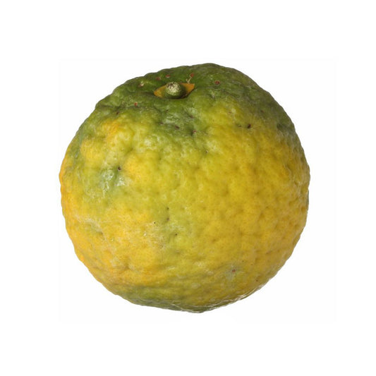 Aroma Spray Bergamotte