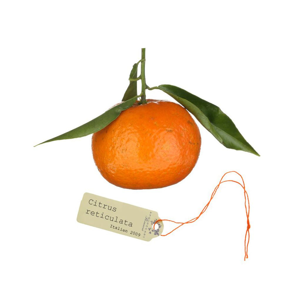 Aroma Spray Mandarine