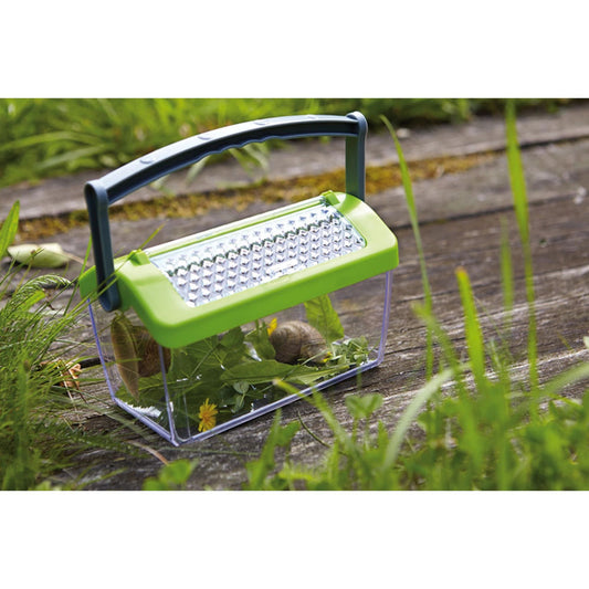 Terra Kids Insect Box