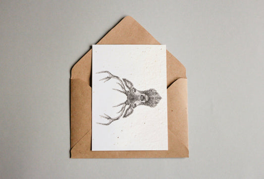 Kartenset aus Samenpapier - Waldtiere - Seedpaper / Samenpapier - Speedjust Schweiz