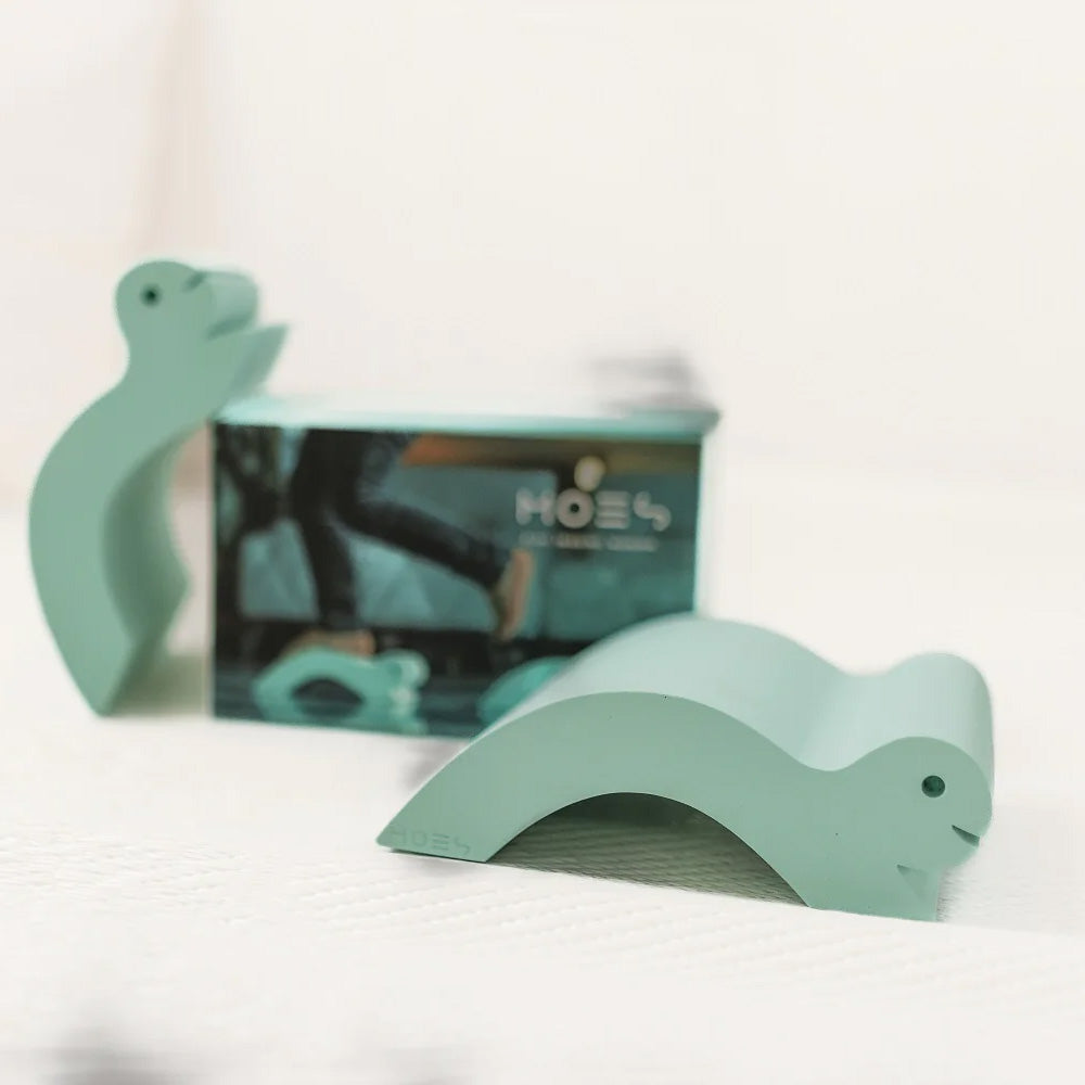 Sea Life - Baby Turtles