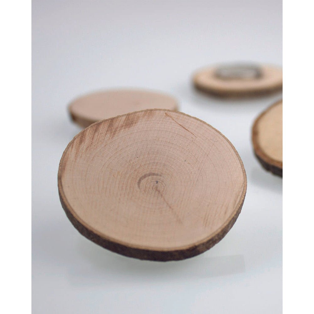 Neodym Magnetische Holzscheibe - Magnetische Produkte - Speedjust Schweiz