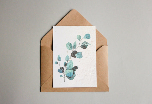 Postkarten aus Samenpapier - Eukalyptus - Seedpaper / Samenpapier - Speedjust Schweiz