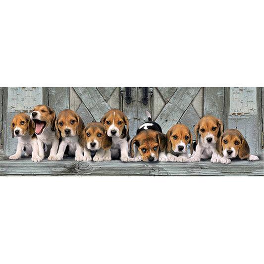 Panorama Hunde Beagles