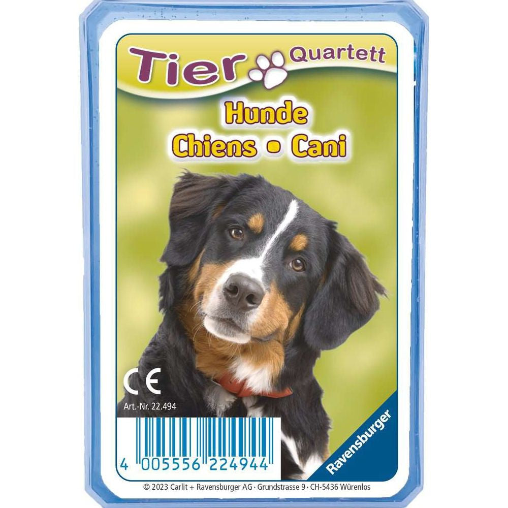 Quartett: Hunde