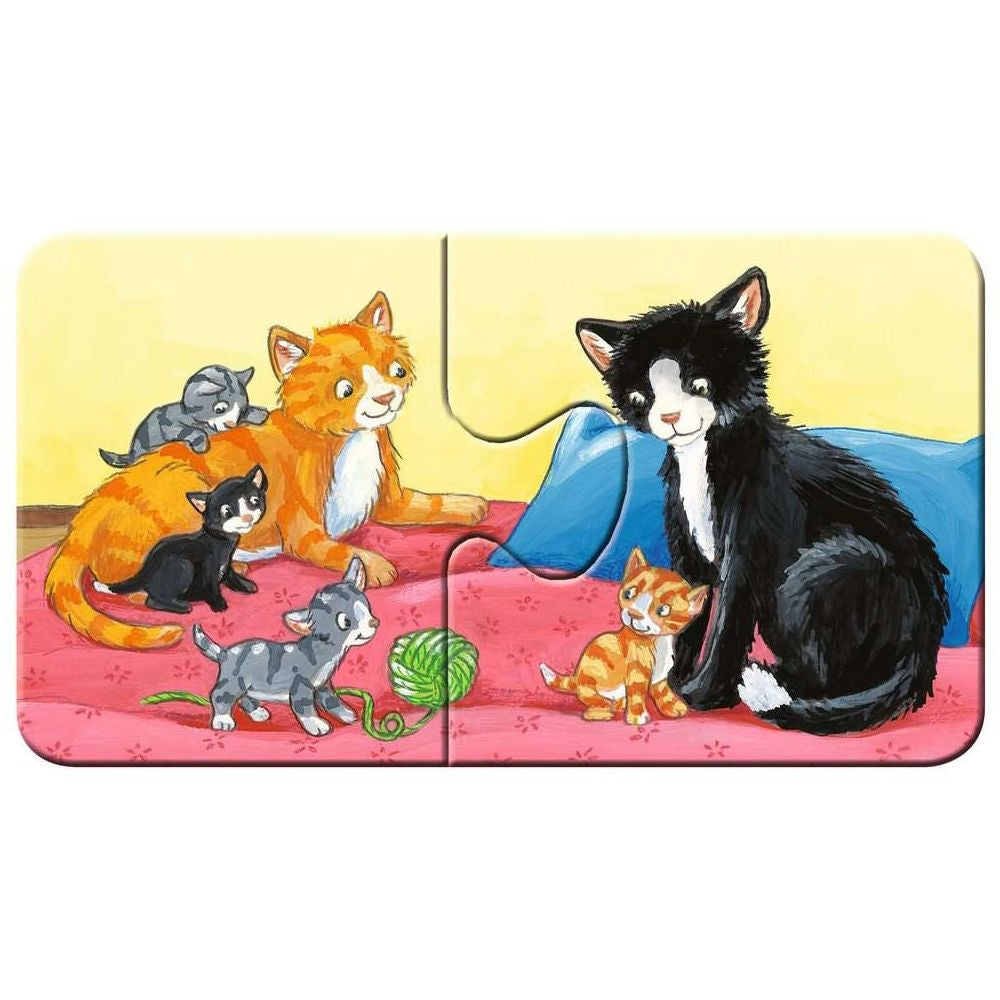 Famiglie di animali nella fattoria