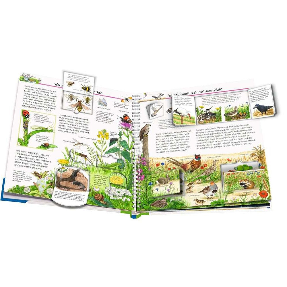 Perché? Per cosa? Come mai?, Volume 71: Scopriamo gli animali autoctoni