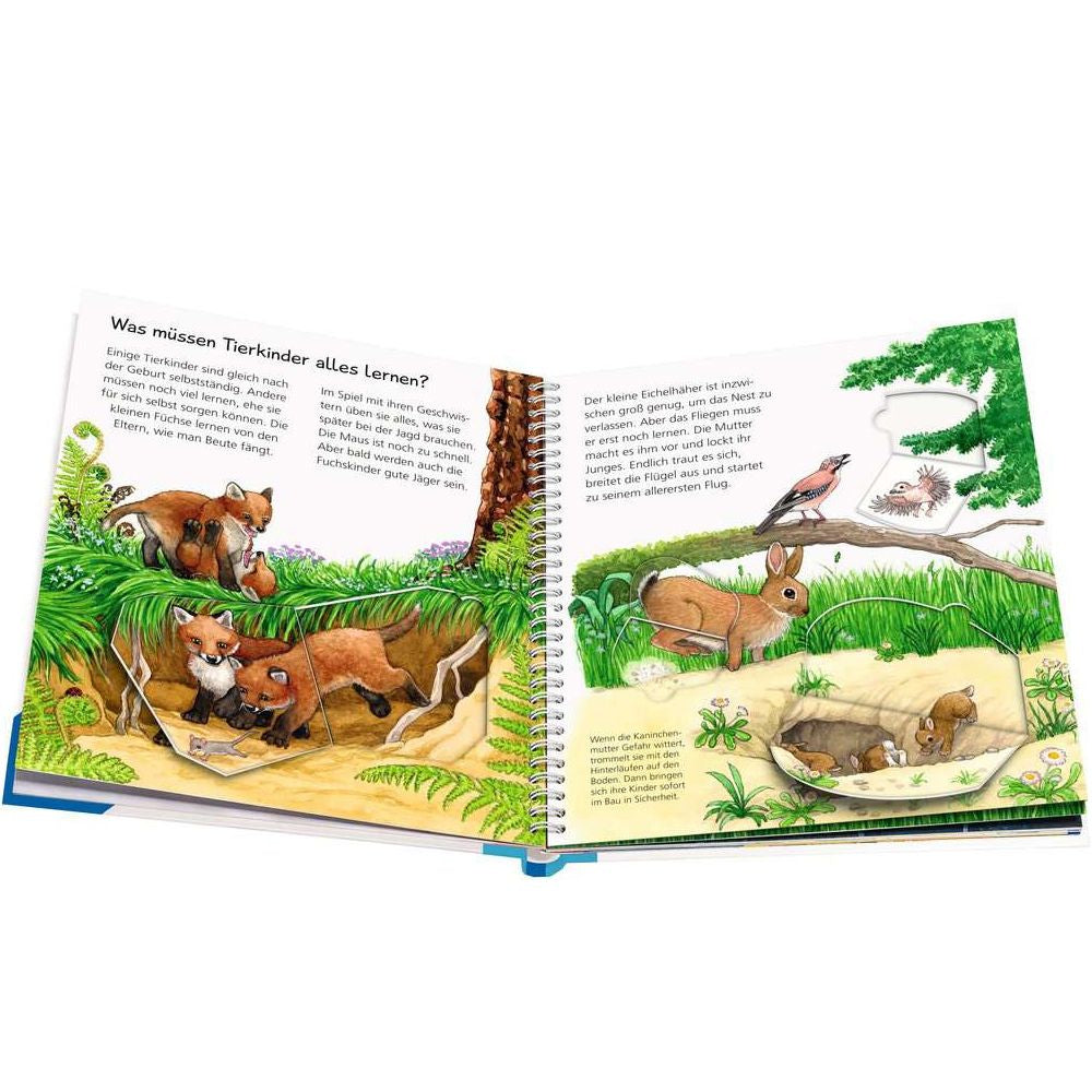 Perché? Per cosa? Come mai? Junior, Volume 15: I nostri cuccioli di animali