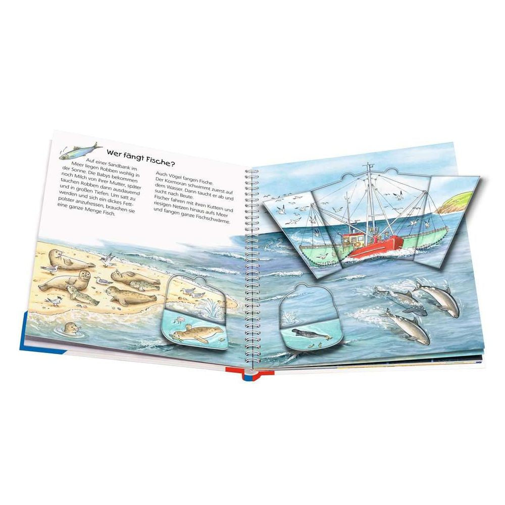 Perché? Per cosa? Come mai? Junior, Volume 17: By the Sea