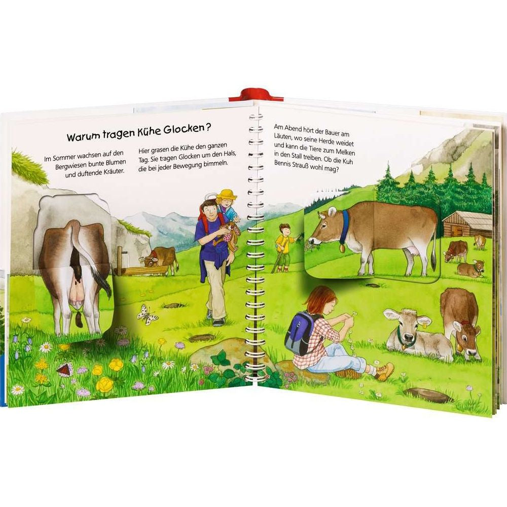 Perché? Per cosa? Come mai? Junior, Volume 42: In montagna