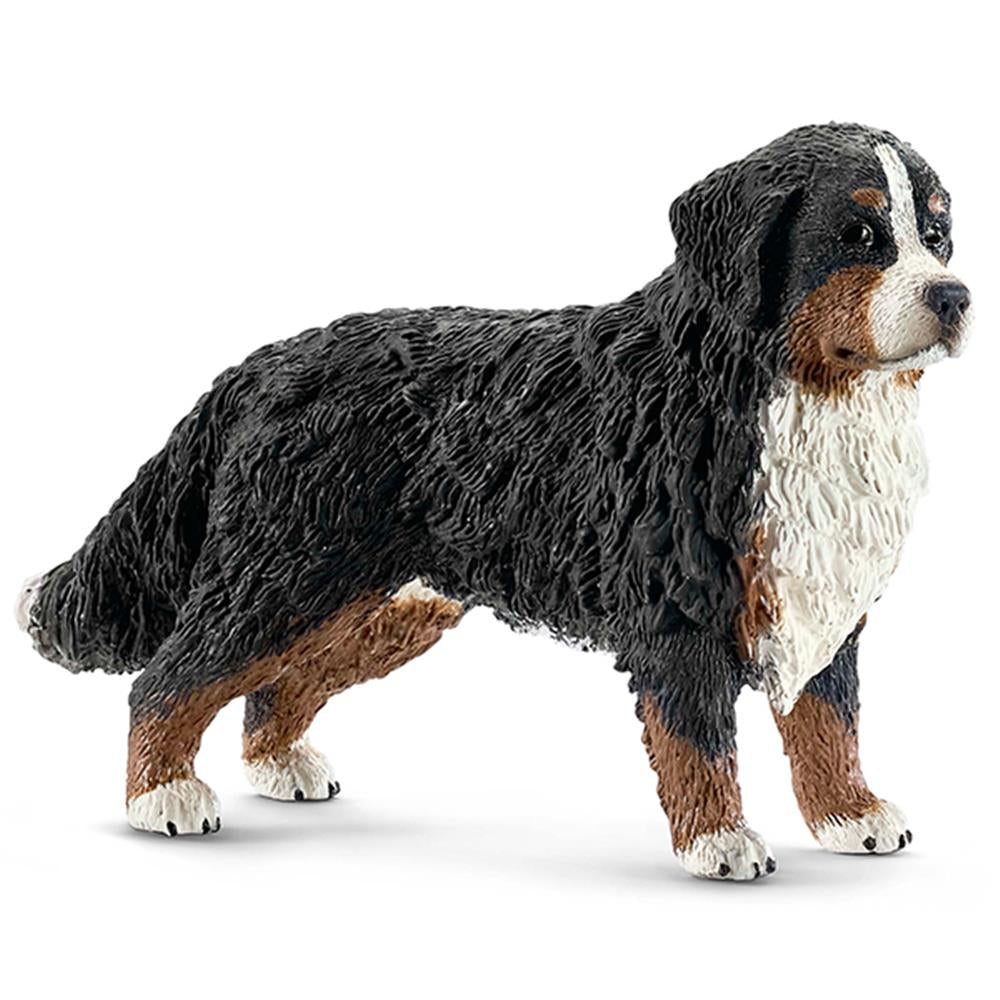 Bovaro bernese