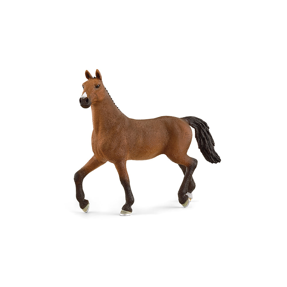 Cavalla di Oldenburg