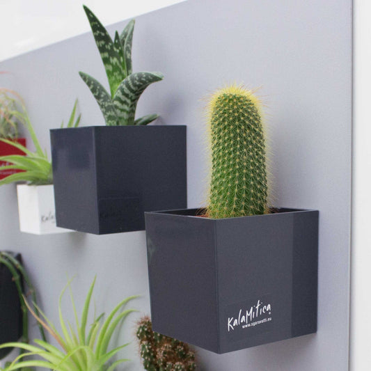 KalaMitica® Magnetische Würfelbehälter Neodym, Ø6cm, Anthrazit, 3 Stk.