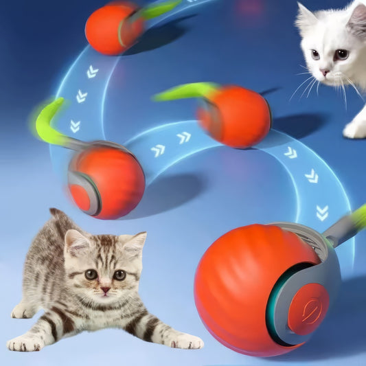 Speedy Katzenspielzeug-Ball Akku