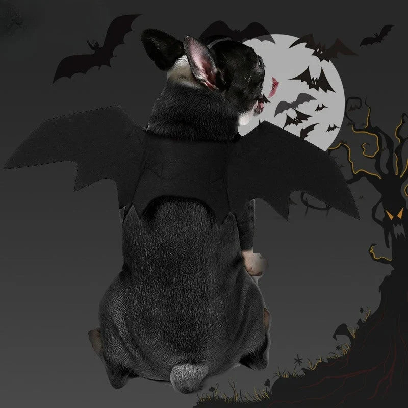 BatWings - Fledermausflügel für Hunde und Katzen