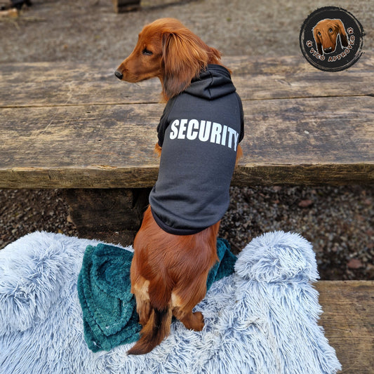Hoodie für Hunde