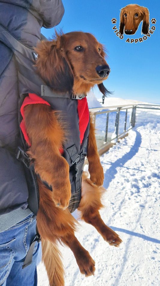 PawPal Voyage Veste