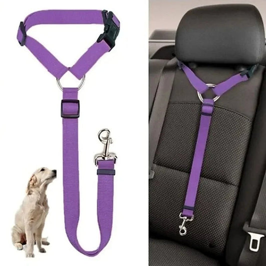 PetSafe Reiseleine