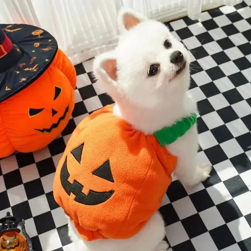 PumpkinPaws - Kürbiskostüm für Hunde