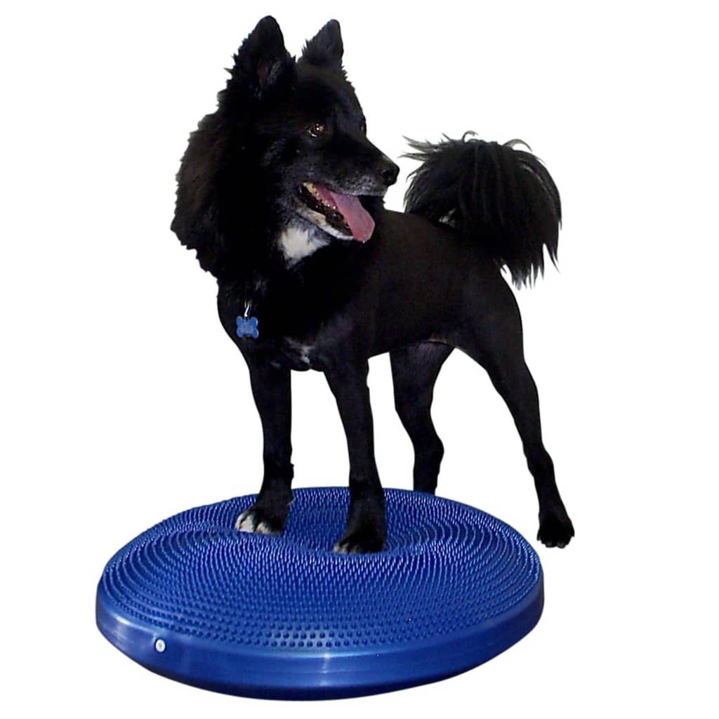 FitPAWS Balance-Scheibe für Haustiere 56 cm Blau