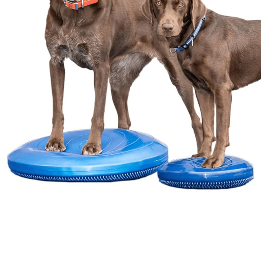 FitPAWS Balance-Scheibe für Haustiere 56 cm Blau