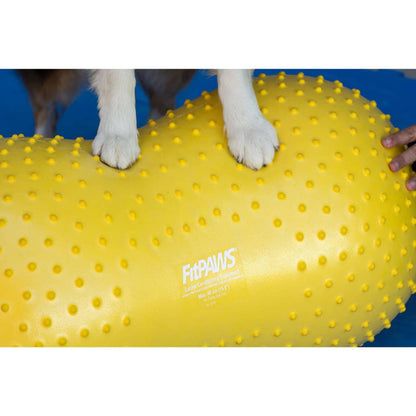 Balance-Kissen für Hunde Trax Peanut 40 cm Gelb