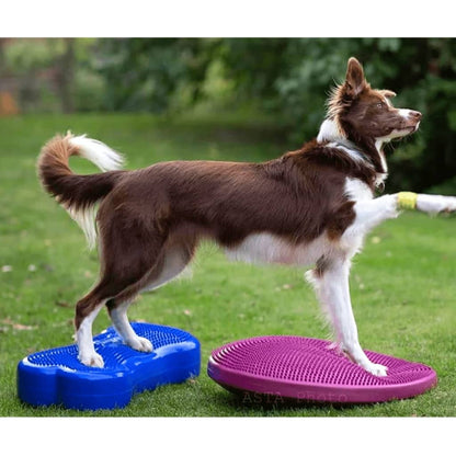 FitPAWS Balance-Scheibe für Haustiere 56 cm Razzleberry