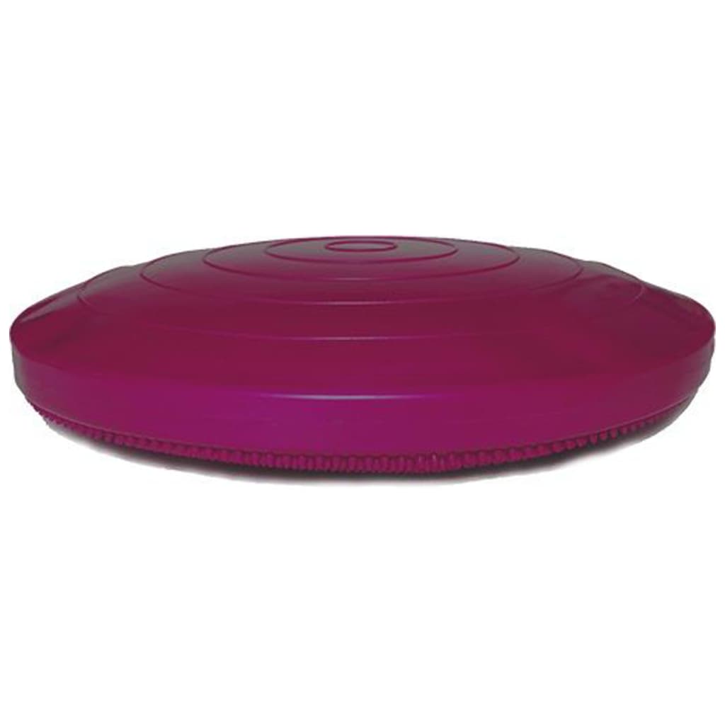 FitPAWS Balance-Scheibe für Haustiere 36 cm Razzleberry