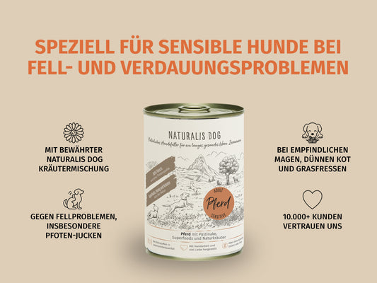 Pferd mit Pastinake und Naturkräutern