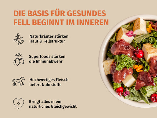 Sensitive-Bundle Pferd zur gezielten Unterstützung bei Fell-Problemen