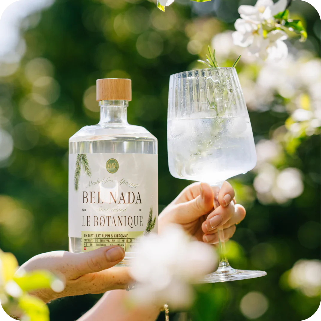 Bel Nada - GIN FIZZ BUNDLE - Refreshing Cocktails for Every Occasion 🍸✨