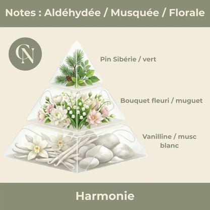 Apaisement – Aigue-Marine & Harmonie