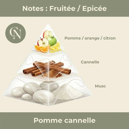 Bougie Artisanale Pomme Cannelle – Parfum Enchanteur et Ambiance Chaleureuse