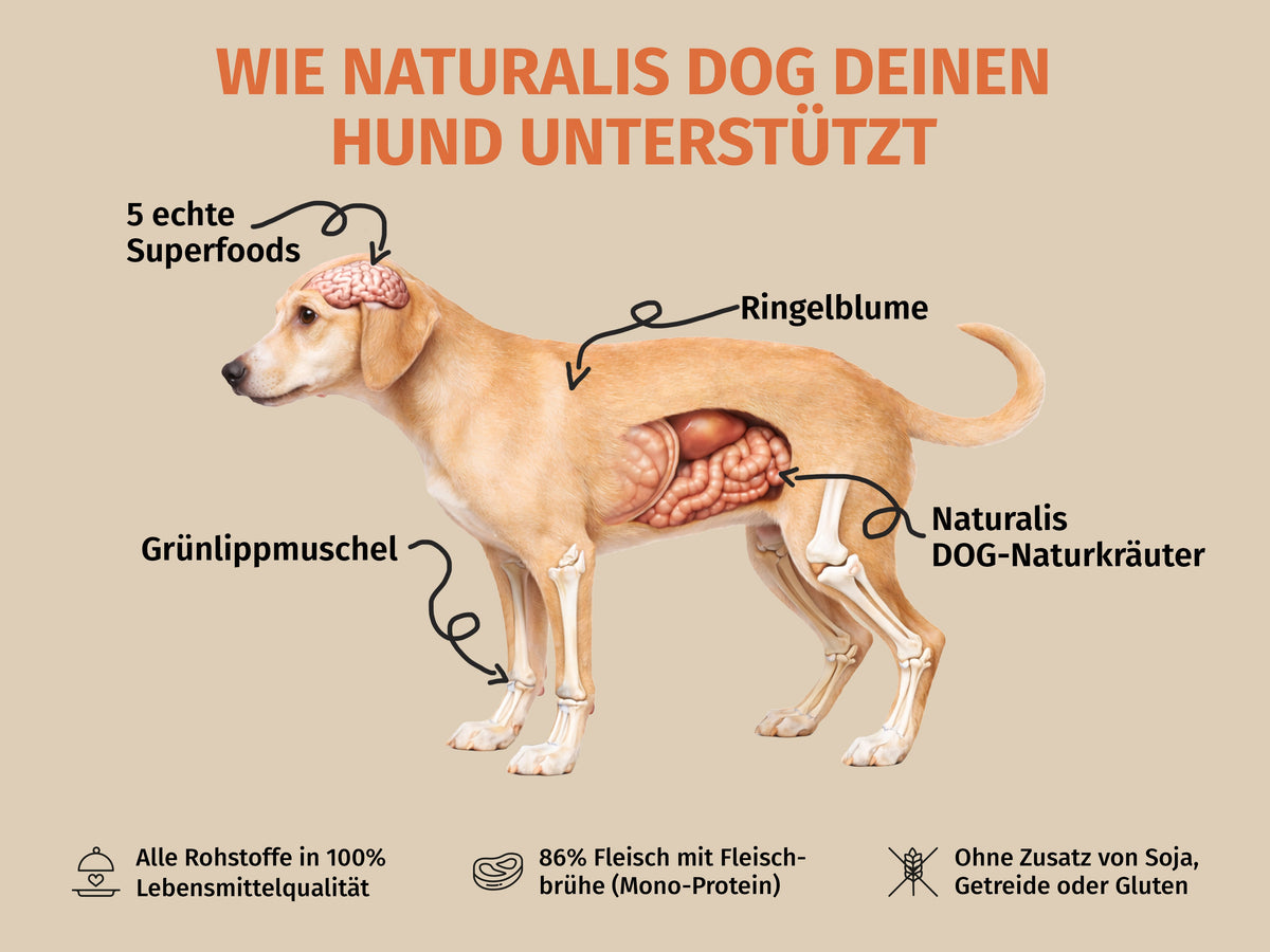 Sensitive-Bundle Pferd zur gezielten Unterstützung bei Fell-Problemen