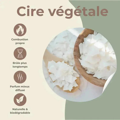Bougie apothicaire Azalée du Japon – Élégance florale & douceur fruitée