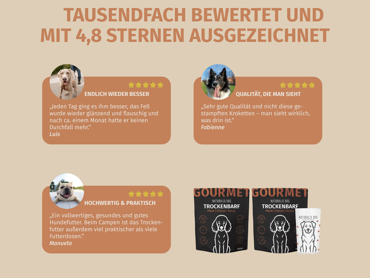 Pferd mit Pastinake, Zucchini, Superfoods und Naturkräuter