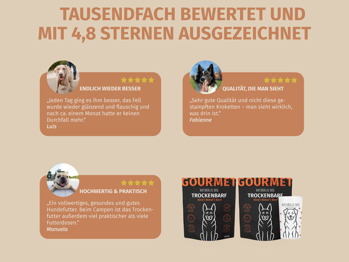Rind mit Pastinake, Zucchini, Superfoods und Naturkräuter