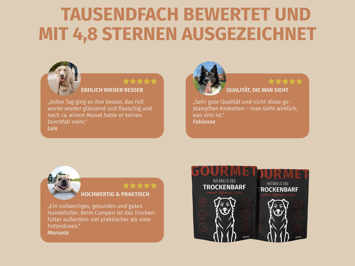 Lamm mit Pastinake, Zucchini, Superfoods und Naturkräuter