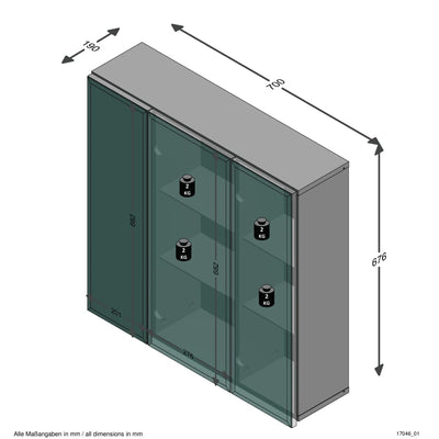 FMD Spiegelschrank 70x19x67,6 cm Weiß