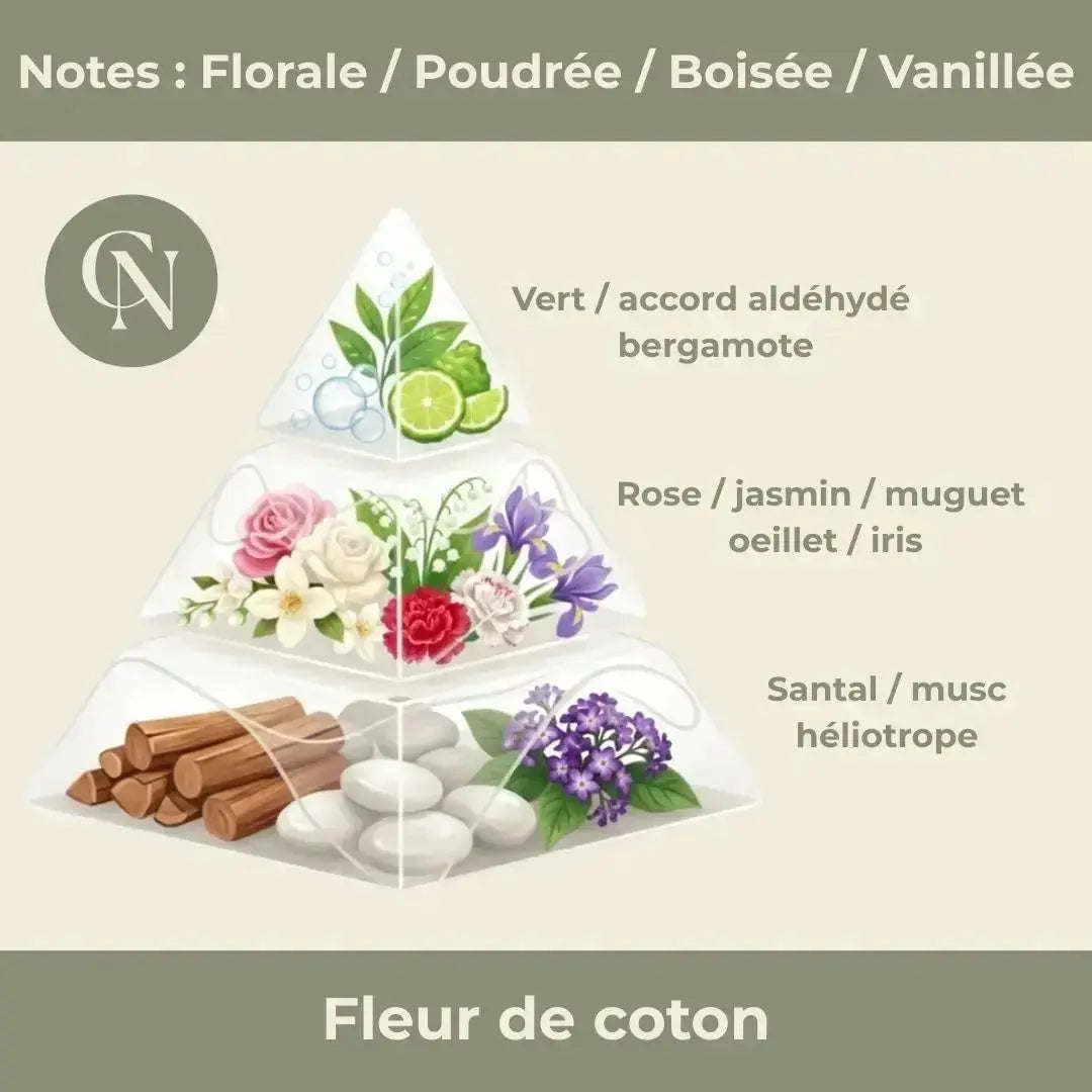 Élan – Cornaline & Fleur de Coton